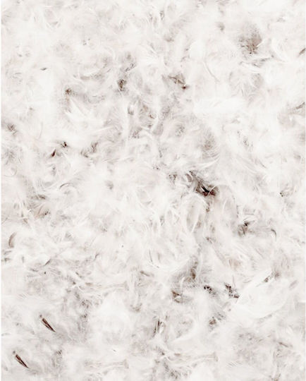 Pennie Pătură Single Pufos 160x240cm Warwick Alb