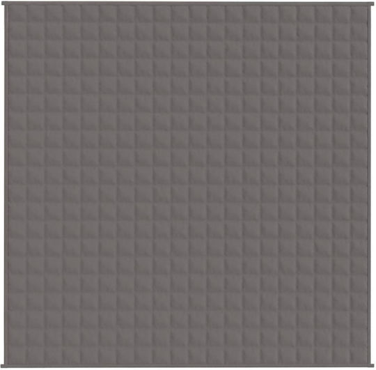 vidaXL Pătură Cu Greutate Dublă Catifea 200x200cm Gri