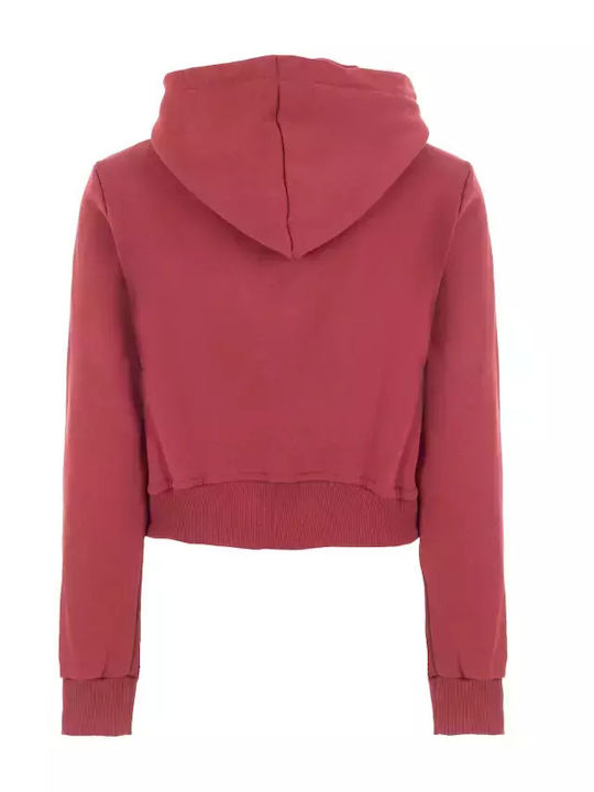 Fila Kids Sweatshirt with Hood Burgundy Deppy