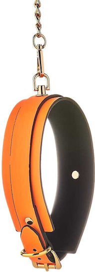 Dream Toys Radiant Glow In The Dark Collar Collar & Leash Orange