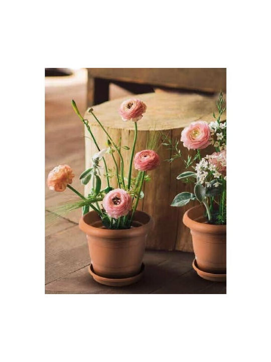 Viosarp Plastic Orange Flower Pot
