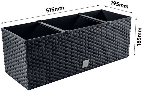 Marhome Rato Case