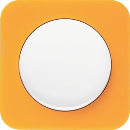 Hager Switch Frame 1 Position Vertical Installation in Orange Color 10112339