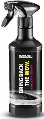 Karcher Spray Cleaning RM 650 + RM 651 1lt 6.296-168.0