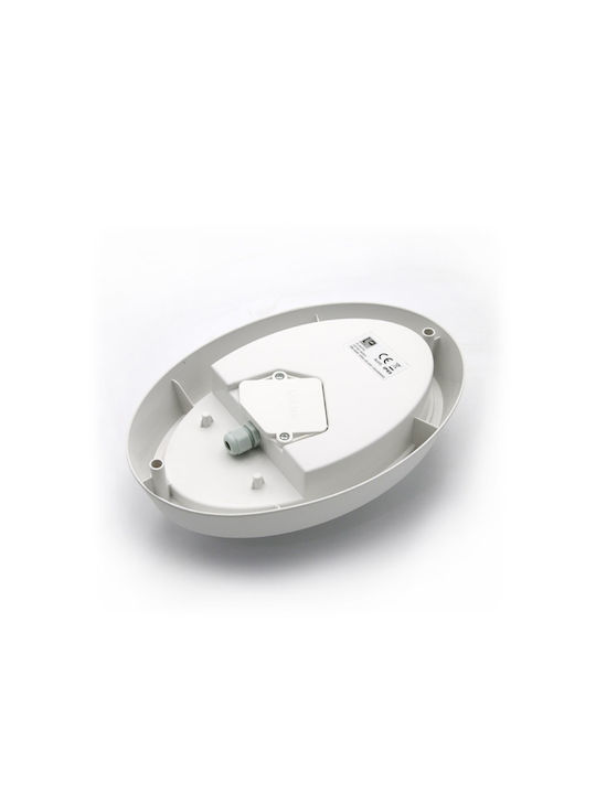 Adeleq Επιτοίχια Εξωτερική Πλαφονιέρα LED IP65 15W με Φυσικό Λευκό Φως 24x16.3εκ.