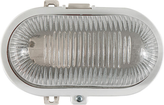 ARlight WLC 2016 Χελώνα 19x13x10εκ. ARlight WLC 2016 Χελώνα 19x13x10εκ.