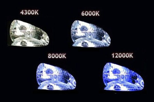 AMiO Lamps Car Premium D1S Xenon 6000K Cold White 12V 35W 1pcs