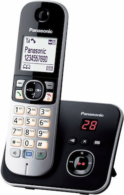 Panasonic KX-TG6821 Telefon fără fir Gri