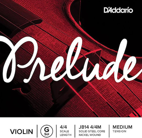 Daddario Single Steel String for Cello 4/4 Prelude Medium 4/4 G (Sol) 13"
