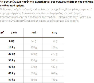 Josera Josidog Active 15kg Hrană Uscată fără Gluten pentru Câini Adulți cu Porumb și Orez