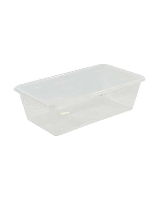 ArtPlast Linea Tuobox Kunststoff Aufbewahrungsbox mit Deckel Transparent 58.5x39x17cm 1Stück