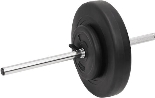vidaXL Αλτήρες Σετ με Μπάρα Συνολικού Βάρους 60kg