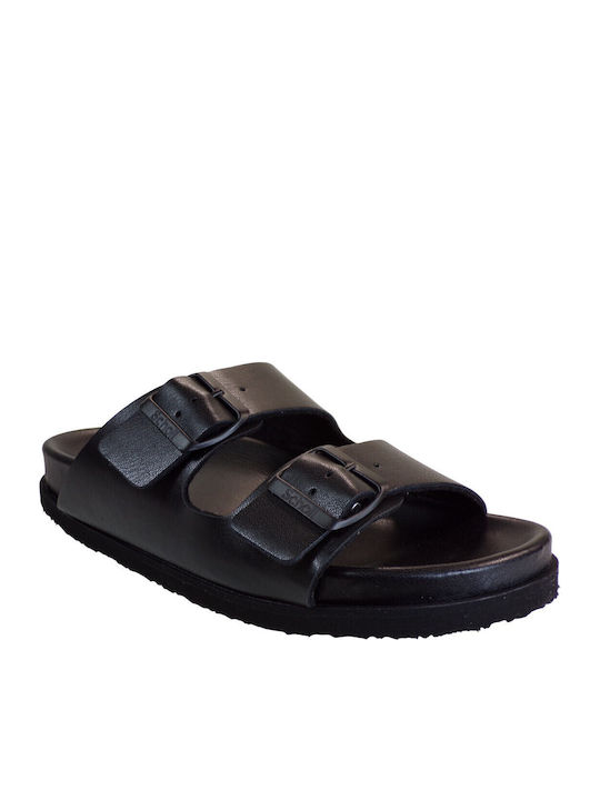 Scholl Scholl