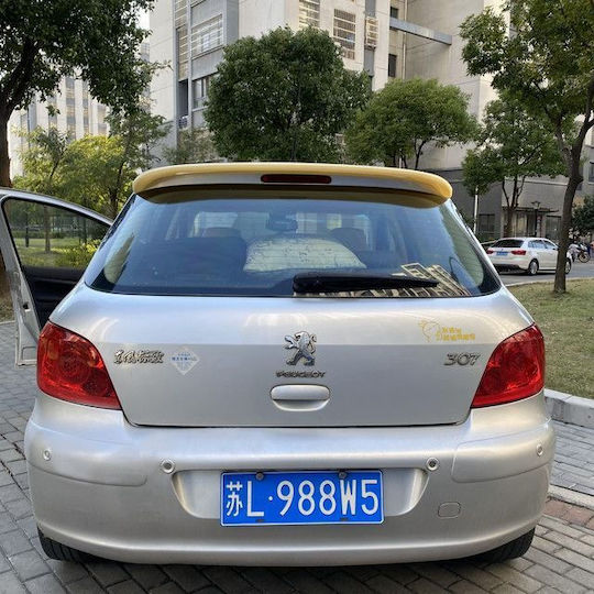 Autoheckspoiler Dach Peugeot 307