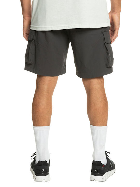 Quiksilver