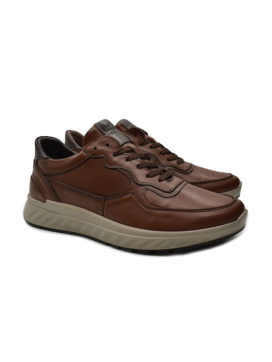 Boxer Sneakers Tabac Brown