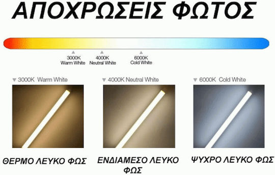 Eurolamp LED Bulb 6W for Socket GU5.3 and Shape MR16 Warm White 480lm