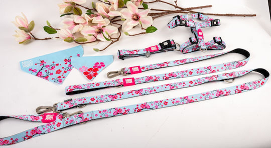 Max & Molly Dog Leash/Lead Strap Cherry Bloom 1.2m x 1.5cm