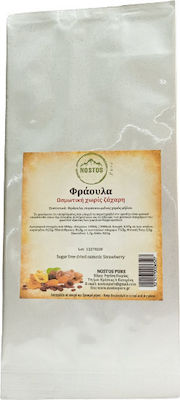 Nostos Pure Απύρηνα Strawberries Osmotic without Sugar 100gr