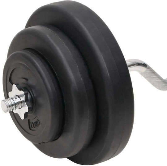 vidaXL Αλτήρες Σετ με Μπάρα Συνολικού Βάρους 60kg