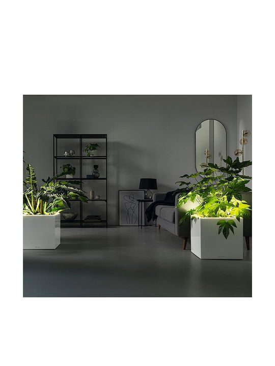 Lechuza Premium Canto Led Самополивен Саксия Пластмаса 40x40x76см.