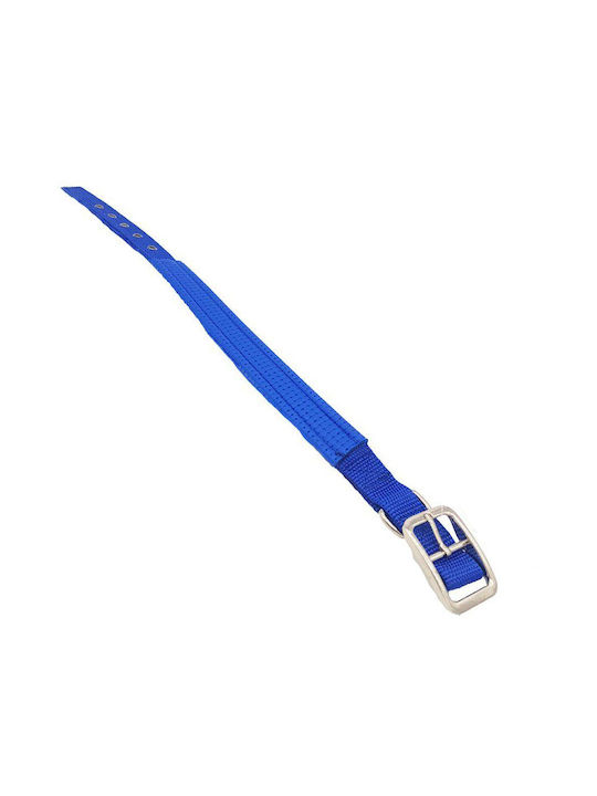 Dog Collar In Blue Colour 15mm x 43cm