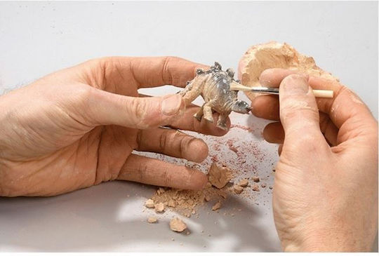 Moses Αυγό Δεινόσαυρου Educational Game Dinosaur Excavation
