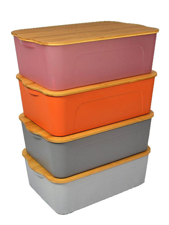 Sidirela Plastic Storage Box with Lid Rotten Apple 29x20x14cm 1pcs