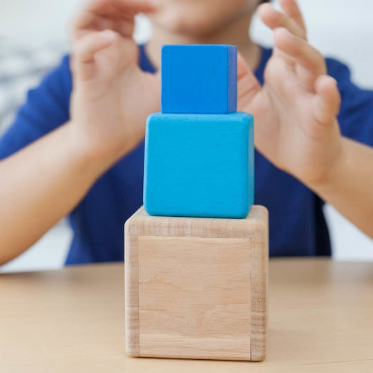 Plan Toys Κύβοι σε Φωλίτσα από Ξύλο για 1+ Έτους 3τμχ