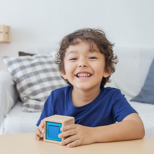 Plan Toys Κύβοι σε Φωλίτσα από Ξύλο για 1+ Έτους 3τμχ