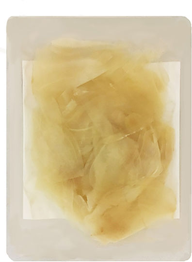 Shimami Gurke Ginger Slices 1Stück