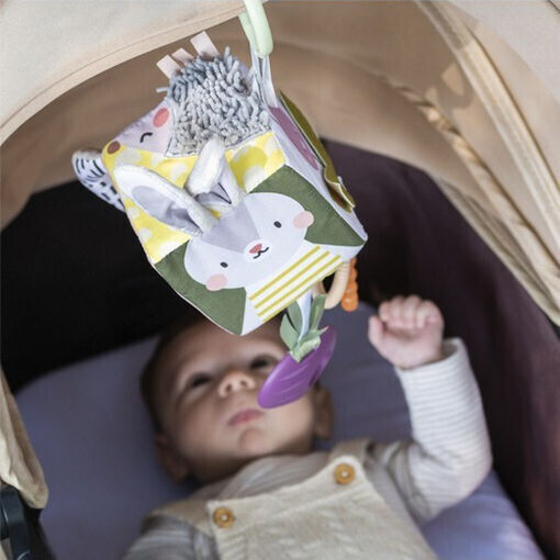 Taf Toys Pendant Toy for Car with Music and Teether Urban Garden Cube 13095