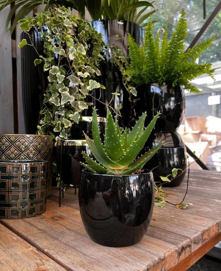 Polnix Piano Plant Pot Ceramic Black