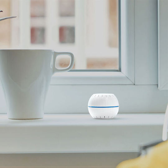 Shelly H&T Temperature and Humidity Sensor Battery Wi-Fi USB