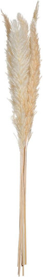 Пампас Изкуствен Декоративен Клон Pampas Grass Кафяв 6 Броя Atmosphera Пампас Изкуствен Декоративен Клон Pampas Grass Кафяв 6 Броя Atmosphera