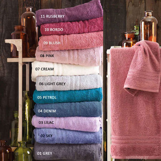 Rythmos Pânză de față Aria 50x90cm. Benzină Greutate 600gr/m²
