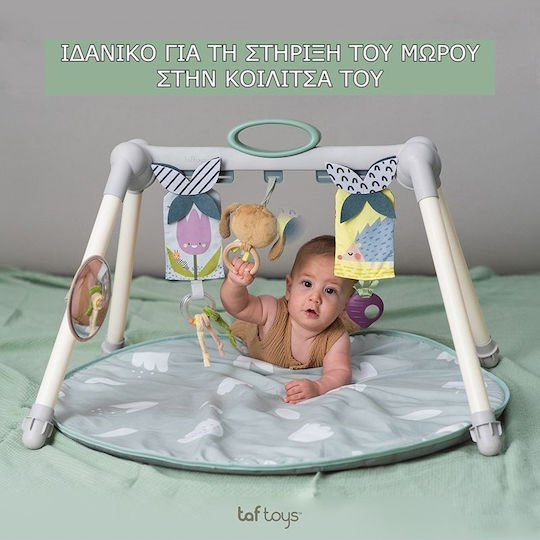 Taf Toys Urban Garden Γυμναστήριο Δραστηριοτήτων για Νεογέννητα