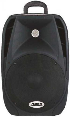 Audien SM-10108 Passive Speaker PA 120W with Woofer 8" 30x25x44cm.