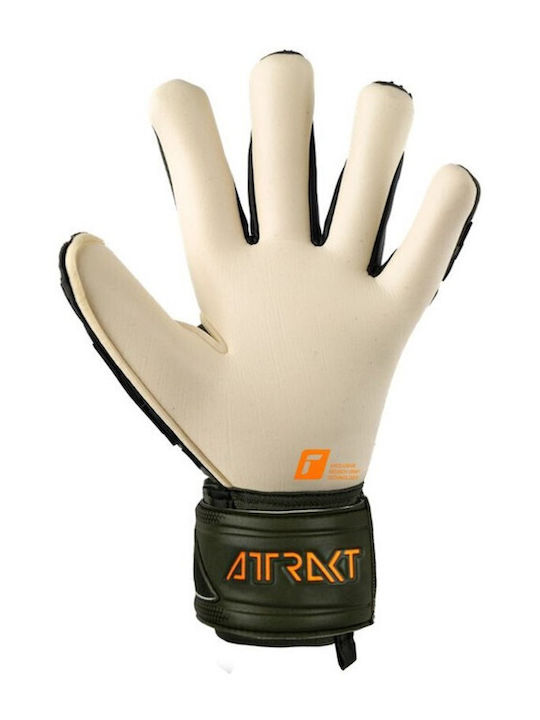 Reusch Attrakt Freegel Gold X Γάντια Τερματοφύλακα Ενηλίκων Πράσινα