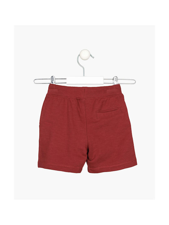 Losan Kids Shorts/Bermuda Fabric Burgundy