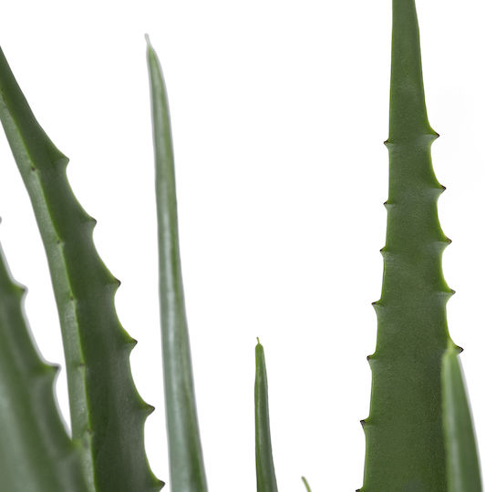 Artificial Plant in Pot Aloe Green 65cm GloboStar