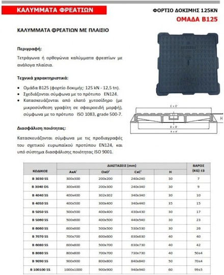 Ias Φреатико Cast Ιron 80x80см 800-1