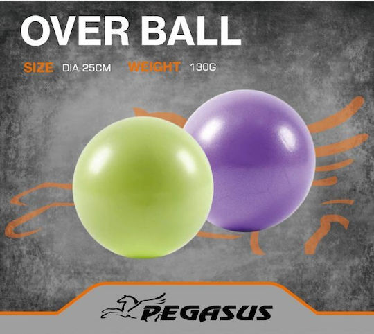 Pegasus Мини Топка Пилатес 25см 0.19кг в Лилав Цвят