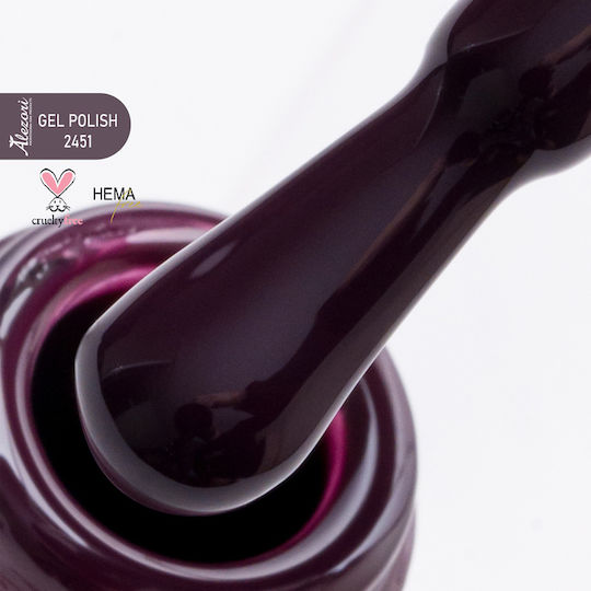 Alezori Classic Halb-permanenter Nagellack 2451 15ml 1Stück