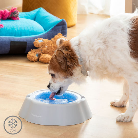 InnovaGoods Freshty Bowl made of Propylene Water for Dog & Cat with Base 450ml 24cm in White Color