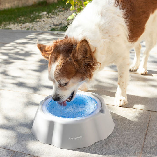 InnovaGoods Freshty Bowl made of Propylene Water for Dog & Cat with Base 450ml 24cm in White Color
