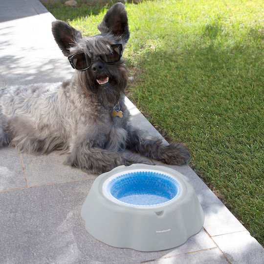 InnovaGoods Freshty Bowl made of Propylene Water for Dog & Cat with Base 450ml 24cm in White Color