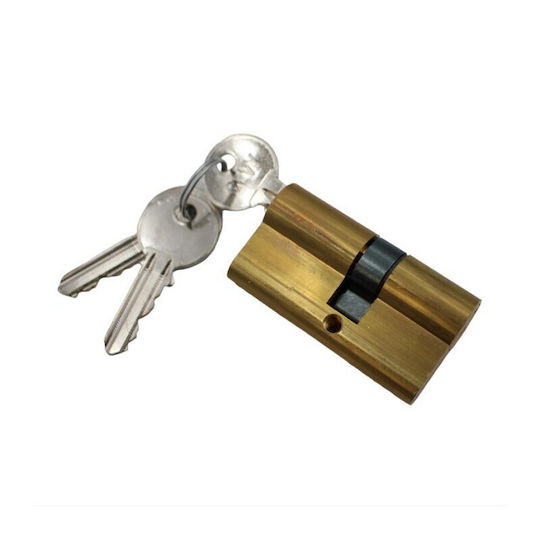 Gevy Lock Cylinder 60mm (27-33) with Knob and 3 Keys Gold