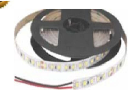 Cubalux LED Strip 24V Cold White Light 5m