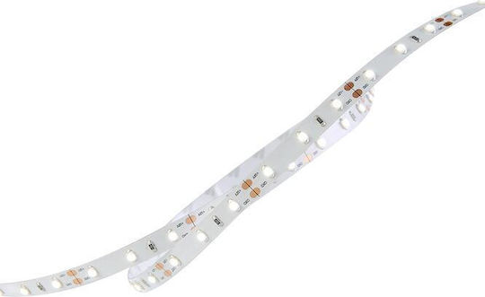 Geyer Αδιάβροχη Ταινία LED 12V Ψυχρό Λευκό Φως 5m Τύπου SMD3528